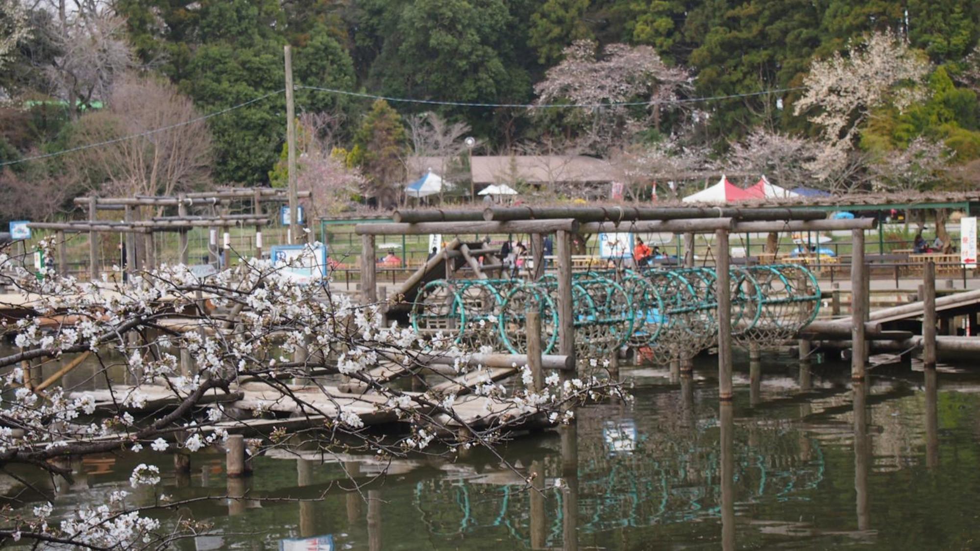 Toyoko Inn Kashiwa Eki Nishi Guchi Luaran gambar